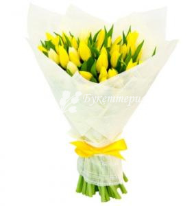 Тюльпаны 31 шт (желтые)