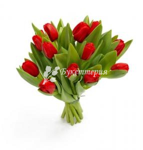 15 красных тюльпанов