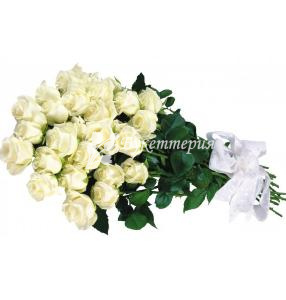 Букет 27 белых роз