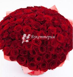 101 красная роза «Любовь»