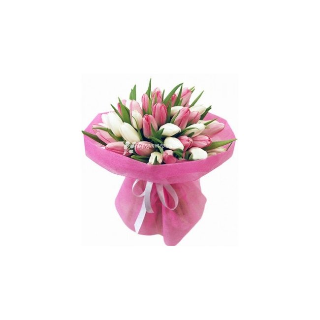 Тюльпаны 25 шт - магазин цветов «Букеттерия» в Сочи