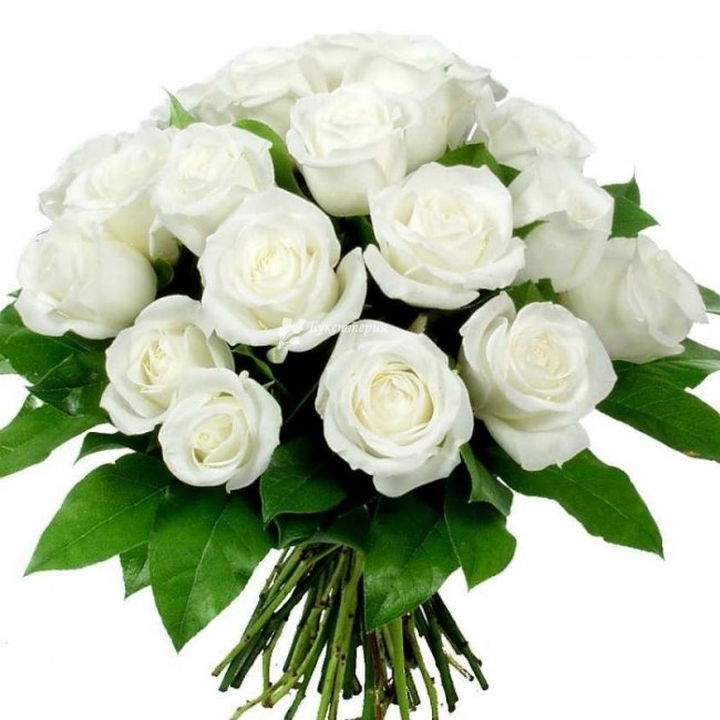 Букет белых роз Пломбир - магазин цветов «Букеттерия» в Сочи