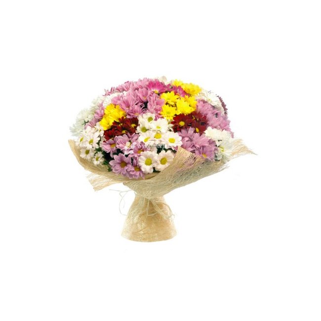 Хризантемы разноцветные - магазин цветов «Букеттерия» в Сочи