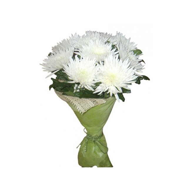 9 белых хризантем - магазин цветов «Букеттерия» в Сочи