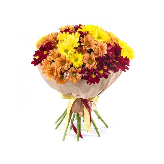 Кустовые хризантемы микс - магазин цветов «Букеттерия» в Сочи