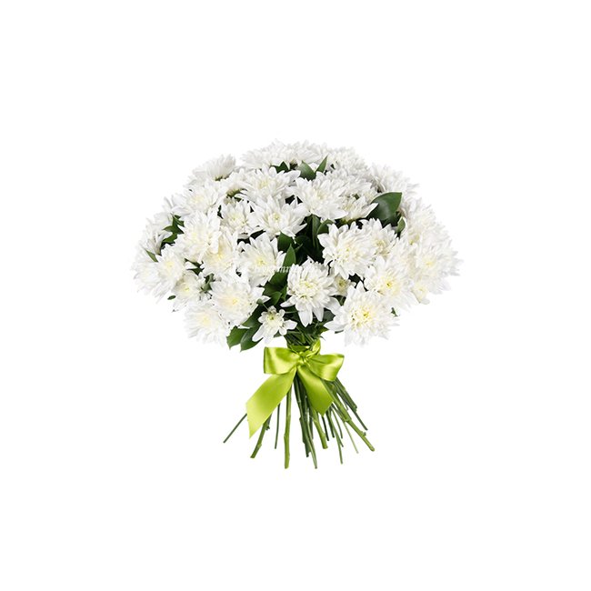 Белые хризантемы кустовые - магазин цветов «Букеттерия» в Сочи