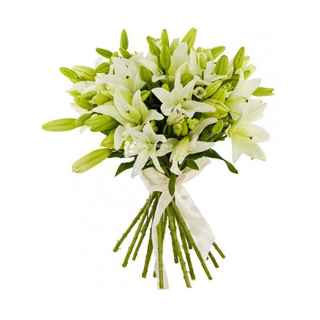 Белые лилии 15 шт - магазин цветов «Букеттерия» в Сочи