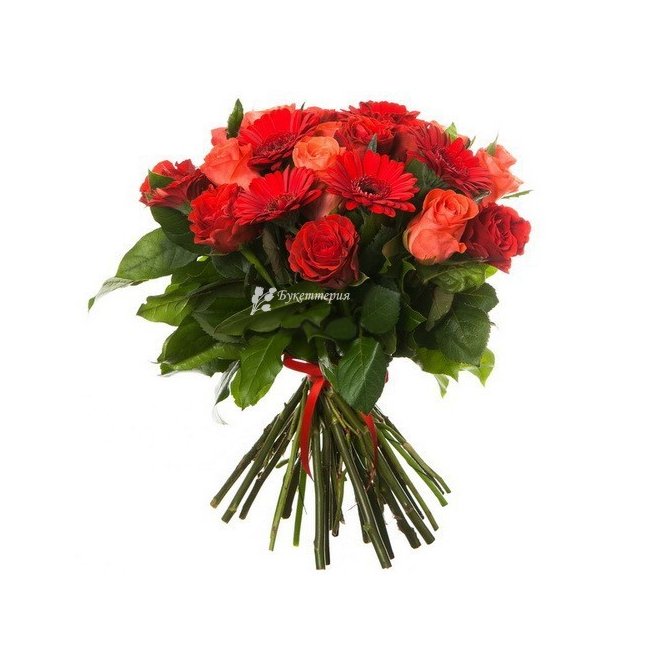 Букет гербер и роз «Страсть» - магазин цветов «Букеттерия» в Сочи