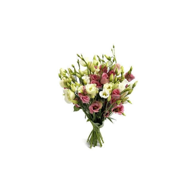 11 эустом - магазин цветов «Букеттерия» в Сочи