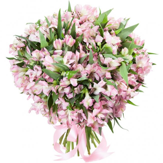 25 нежно-розовых альстромерий - магазин цветов «Букеттерия» в Сочи
