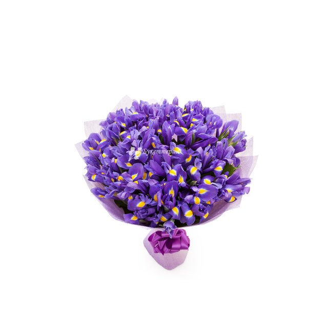 Синие ирисы - магазин цветов «Букеттерия» в Сочи