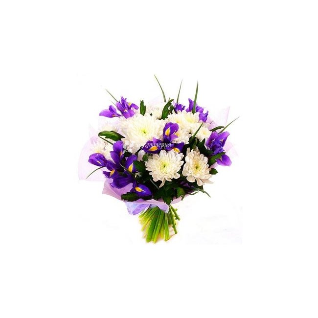 Букет ирисов и хризантем «Кэт» - магазин цветов «Букеттерия» в Сочи
