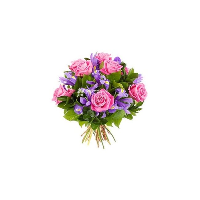 Ирисы Летние - магазин цветов «Букеттерия» в Сочи