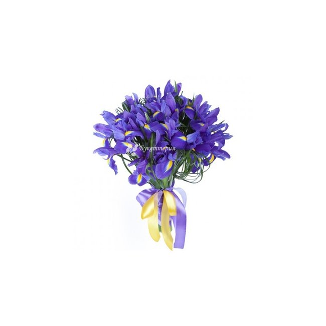 Синие ирисы 15 шт - магазин цветов «Букеттерия» в Сочи