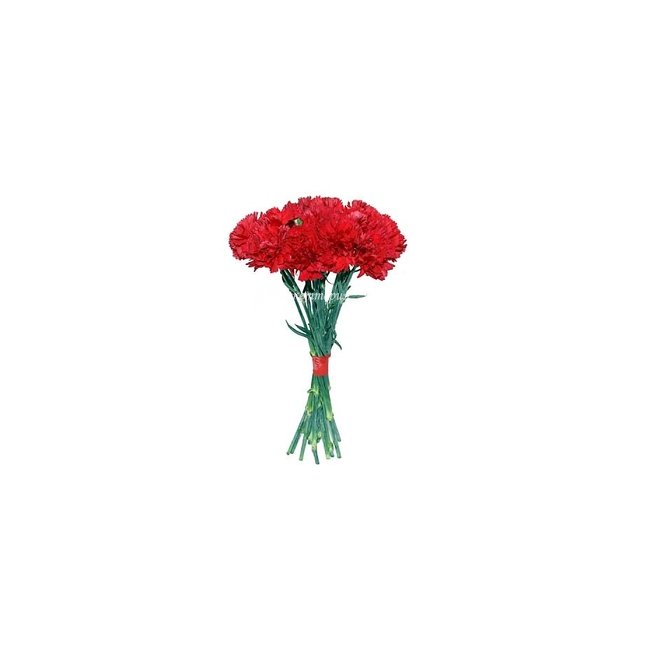 17 красных гвоздик - магазин цветов «Букеттерия» в Сочи