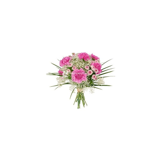 Букетик «Нежность гвоздик» - магазин цветов «Букеттерия» в Сочи