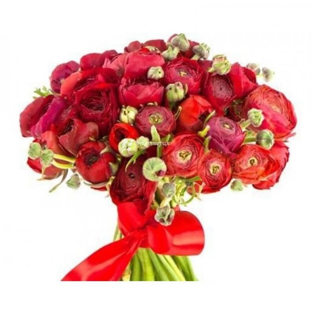 Букет 35 ранункулюсов «Яркий» - магазин цветов «Букеттерия» в Сочи
