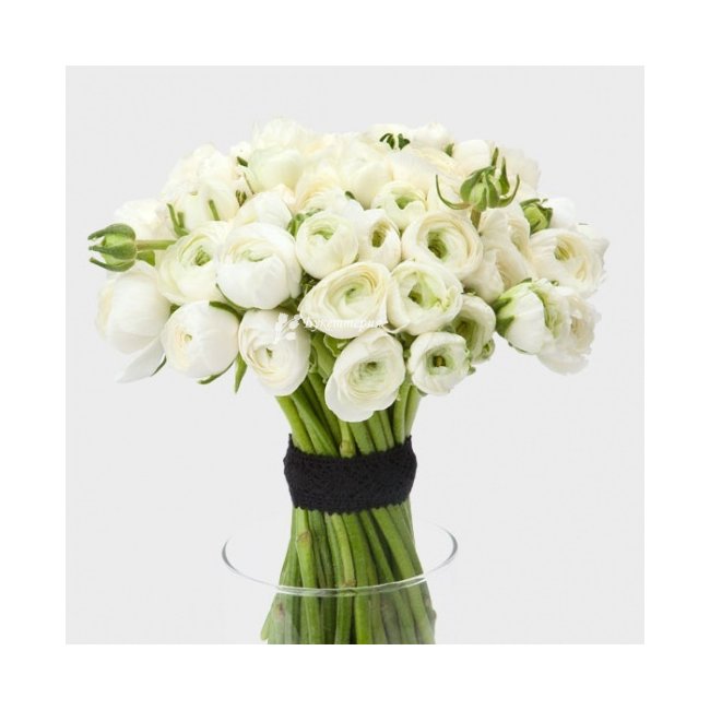 Букет 39 белых ранункулюсов «Алина» - магазин цветов «Букеттерия» в Сочи