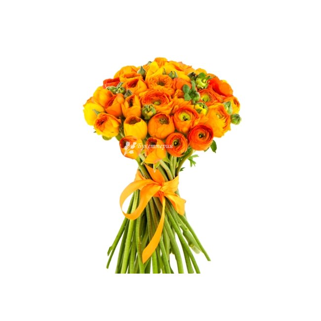 Букет 31 ранункулюс «Загадка» - магазин цветов «Букеттерия» в Сочи