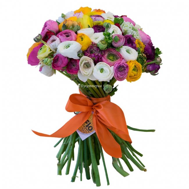 Букет 51 ранункулюс микс «Эмоции» - магазин цветов «Букеттерия» в Сочи