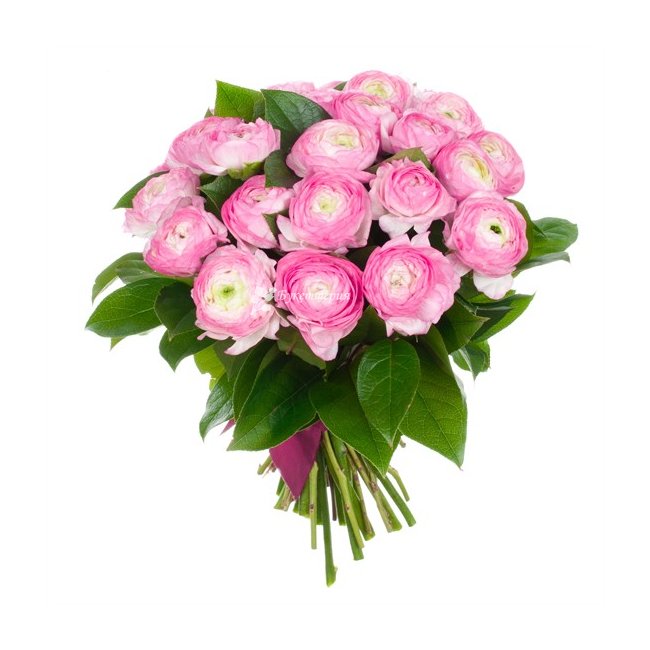 Букет розовых лютиков - магазин цветов «Букеттерия» в Сочи