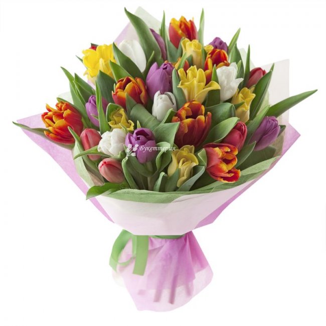 Букет 27 тюльпанов - магазин цветов «Букеттерия» в Сочи