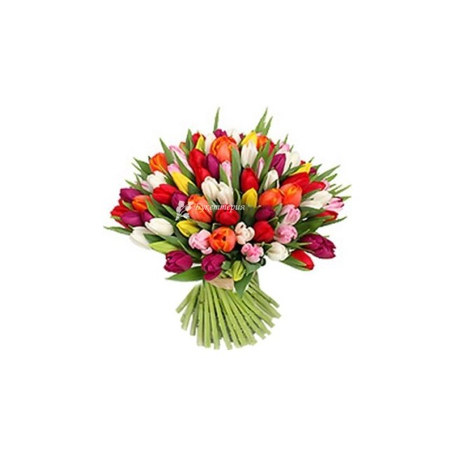 Букет 101 тюльпан микс «Мираж» - магазин цветов «Букеттерия» в Сочи