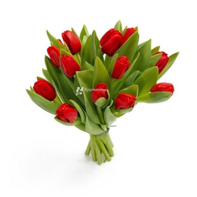 15 красных тюльпанов - магазин цветов «Букеттерия» в Сочи