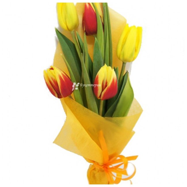 5 тюльпанов в букете - магазин цветов «Букеттерия» в Сочи