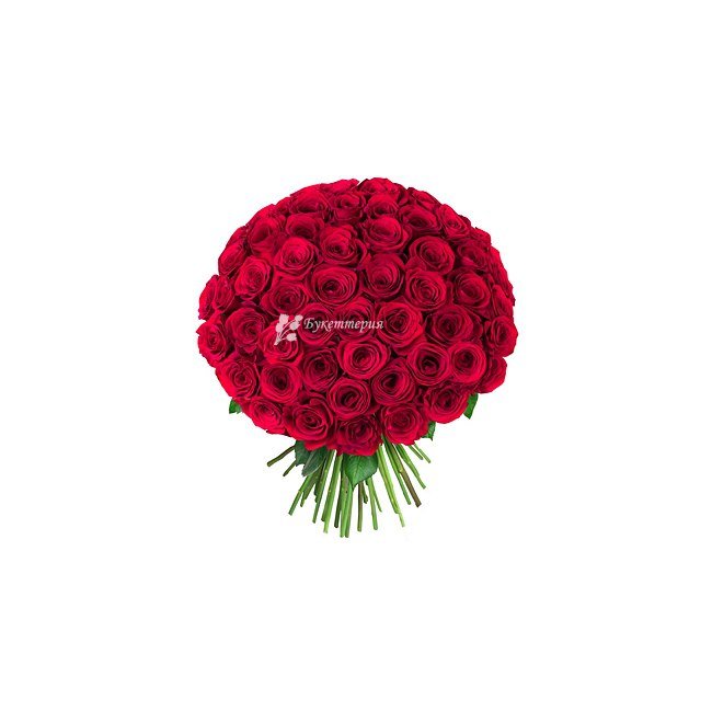 Букет 51 роза - магазин цветов «Букеттерия» в Сочи