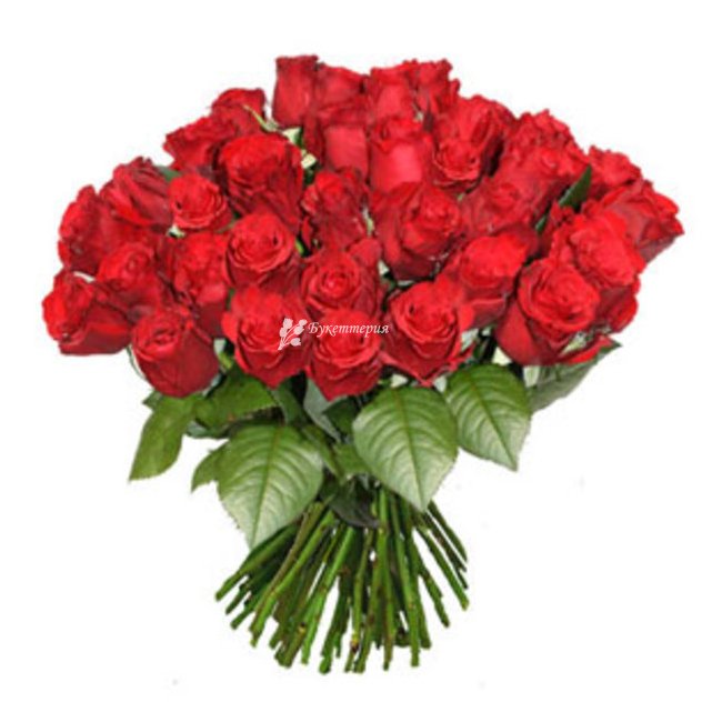 27 красных роз Сюрприз - магазин цветов «Букеттерия» в Сочи