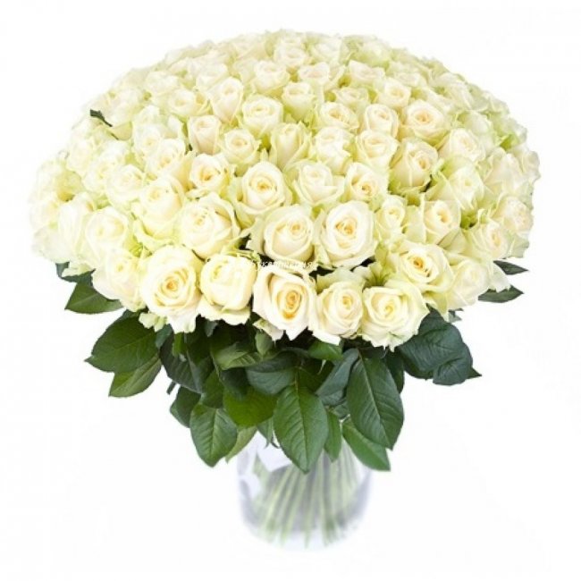59 белых роз Мерси - магазин цветов «Букеттерия» в Сочи
