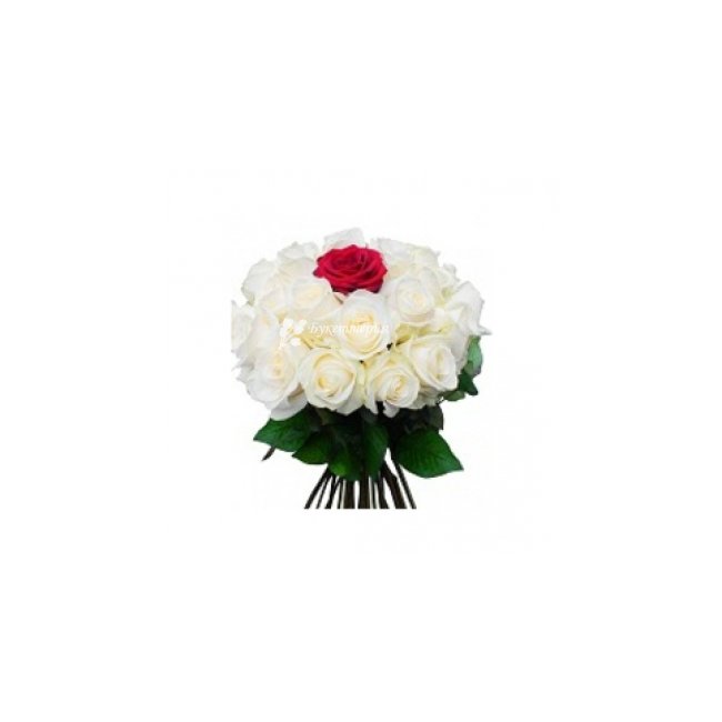 Букет роз Единственная - магазин цветов «Букеттерия» в Сочи