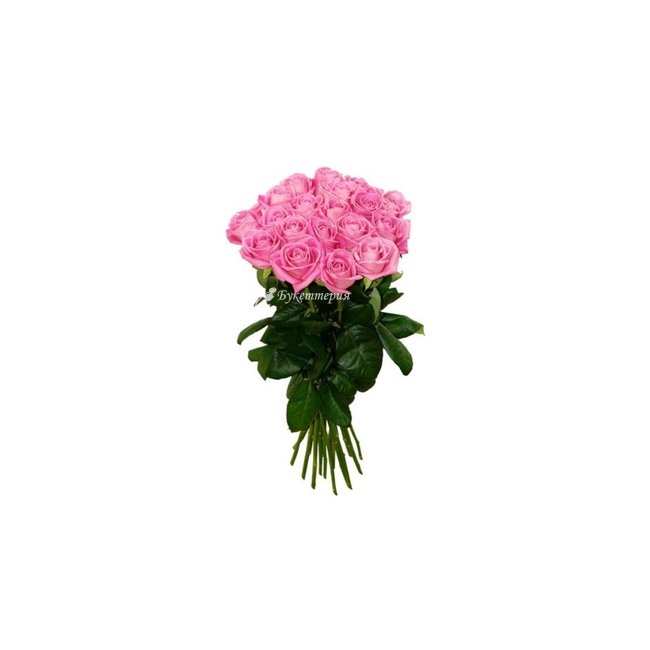19 розовых роз в букете - магазин цветов «Букеттерия» в Сочи