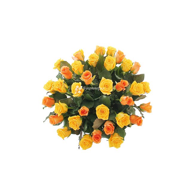 Букет 35 желтых роз «ЛЕТО» - магазин цветов «Букеттерия» в Сочи