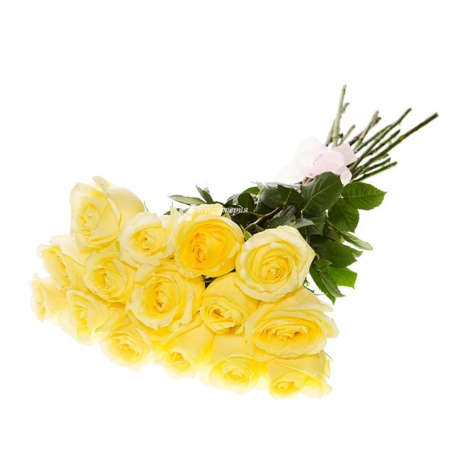 15 желтых роз - магазин цветов «Букеттерия» в Сочи
