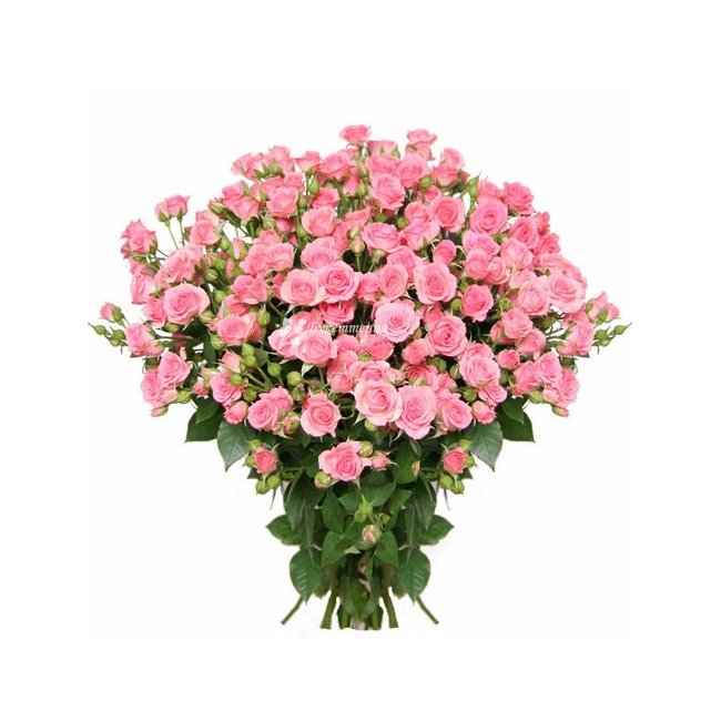 Букет 19 кустовых розовых роз - магазин цветов «Букеттерия» в Сочи