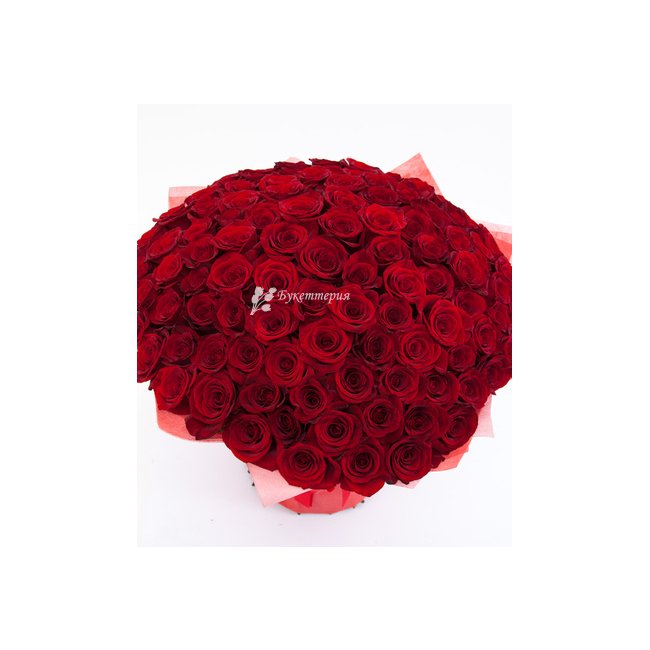 101 красная роза «Любовь» - магазин цветов «Букеттерия» в Сочи