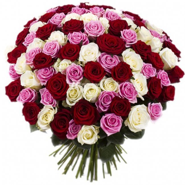 101 роза микс «Услада» - магазин цветов «Букеттерия» в Сочи