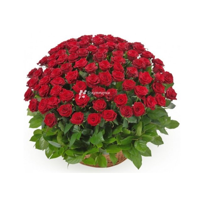 Корзина из 101 красной розы - магазин цветов «Букеттерия» в Сочи