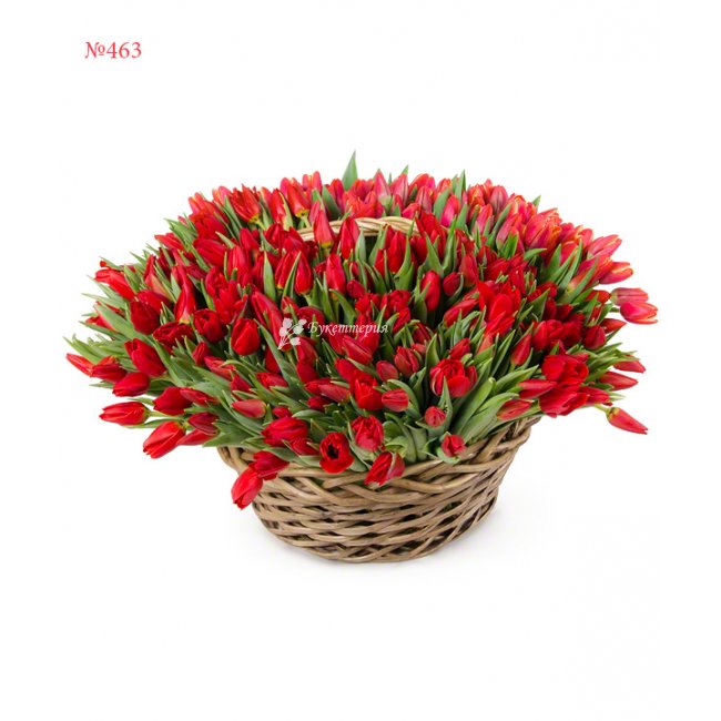 Корзина из 101 тюльпана - магазин цветов «Букеттерия» в Сочи
