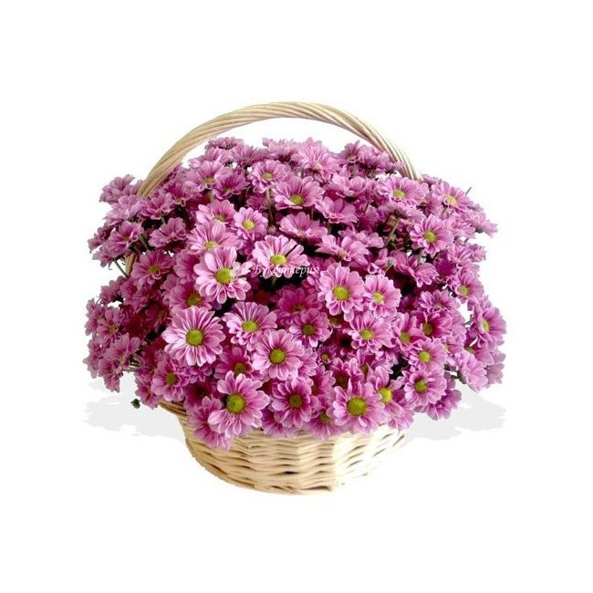 Корзина хризантем «Сказка о любви» - магазин цветов «Букеттерия» в Сочи