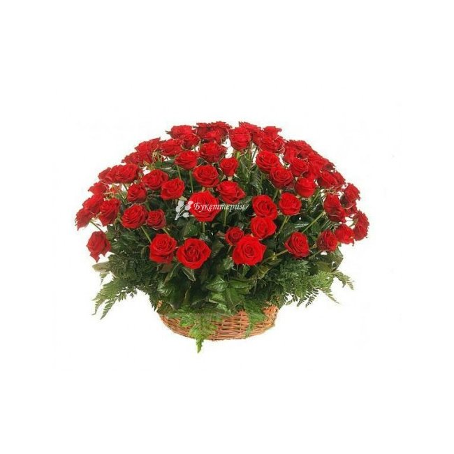 Корзина 75 красных роз «Морячка» - магазин цветов «Букеттерия» в Сочи