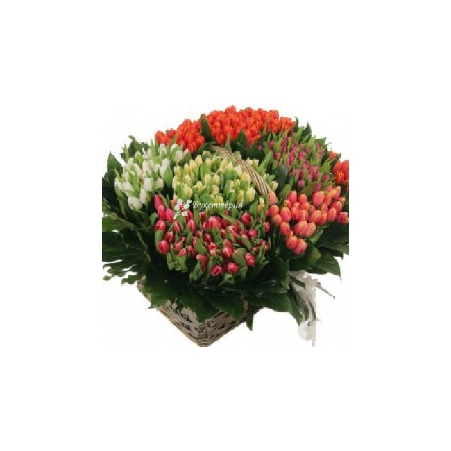251 тюльпан в корзине - Диво - магазин цветов «Букеттерия» в Сочи