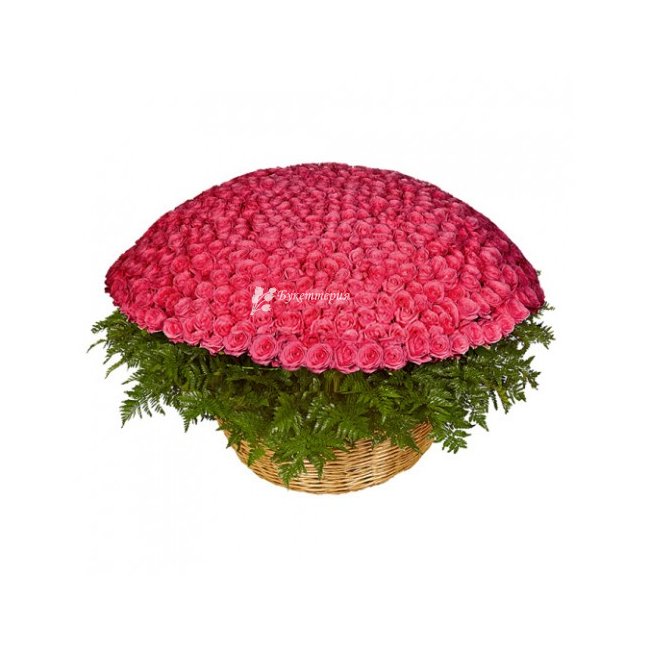 Корзина из 501 розы - магазин цветов «Букеттерия» в Сочи