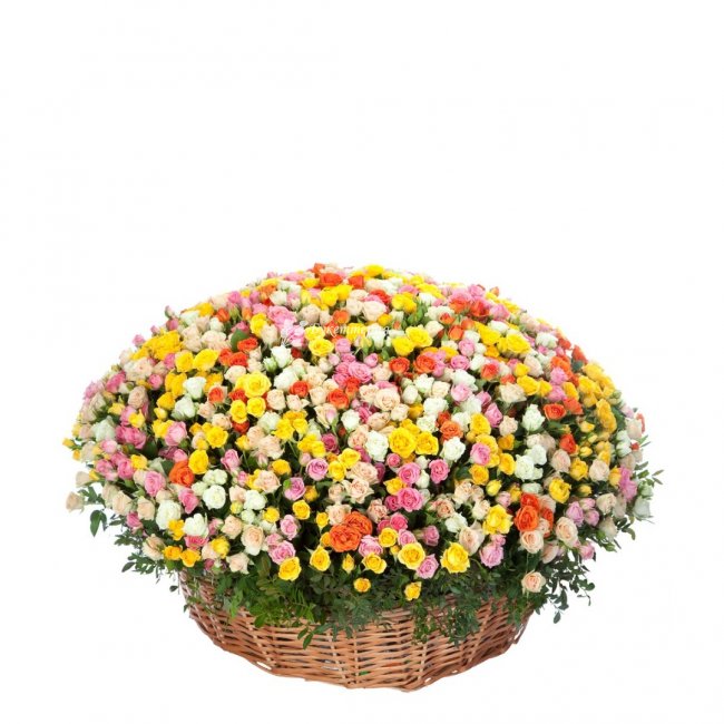 Любовь и нежность - 251 роза - магазин цветов «Букеттерия» в Сочи