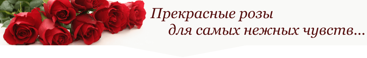 Прекрасные розы для самых нежных чувств - магазин цветов в Сочи «Букеттерия»